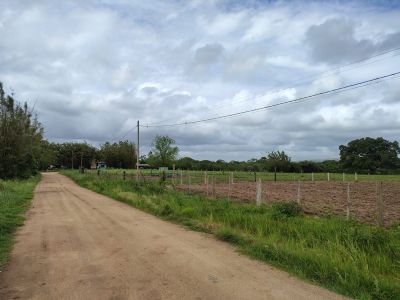 Sítio, 28 hectares - Foto 4