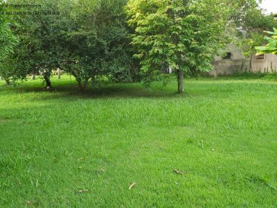 Terreno, 5000 m² - Foto 3