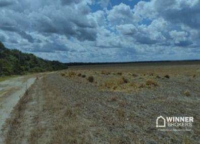 Fazenda, 128660769 hectares - Foto 3