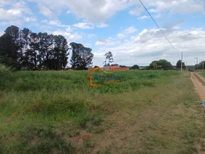 Sítio, 6000 m² - Foto 3