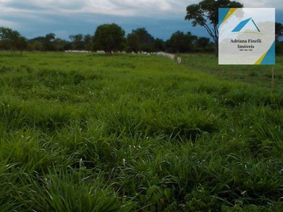 Fazenda, 138 hectares - Foto 2