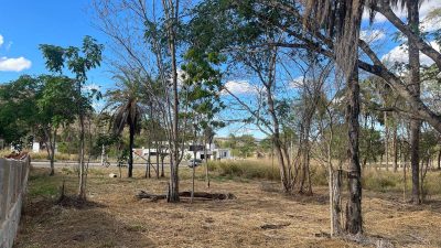Terreno, 1000 m² - Foto 3