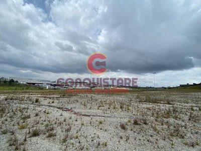 Terreno, 6 hectares - Foto 4