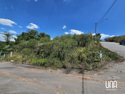 Terreno, 288 m² - Foto 3