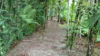 Terreno, 1365 m² - Foto 5