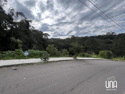 Terreno, 446 m² - Foto 3