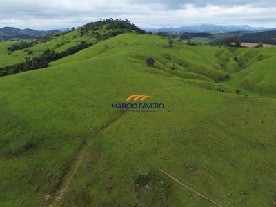 Fazenda, 334 hectares - Foto 5