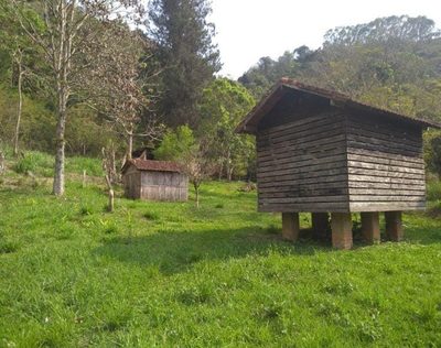 Sítio, 3 quartos, 6 hectares - Foto 3