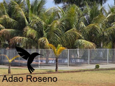 Terreno, 360 m² - Foto 2