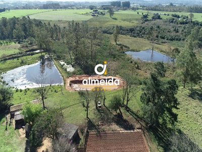 Chácara, 3 quartos, 68700 hectares - Foto 3