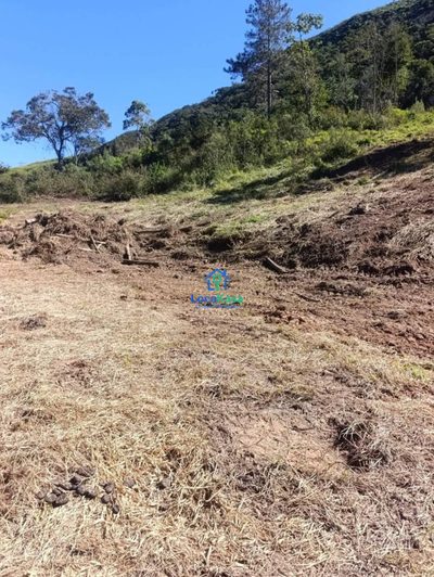 Terreno, 4 hectares - Foto 3