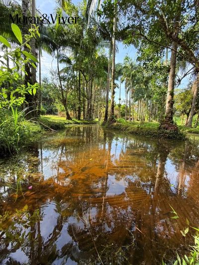 Fazenda, 1 hectares - Foto 2