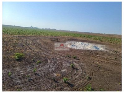 Fazenda, 2200 m² - Foto 4