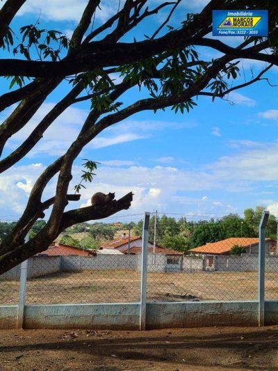 Terreno, 1500 m² - Foto 1