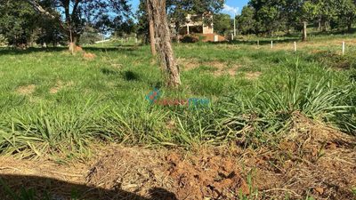 Terreno, 1000 m² - Foto 3