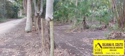 Terreno, 8000 m² - Foto 1