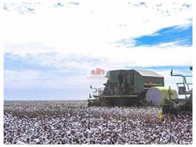 Fazenda, 2 hectares - Foto 3