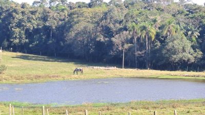 Terreno, 2 hectares - Foto 1