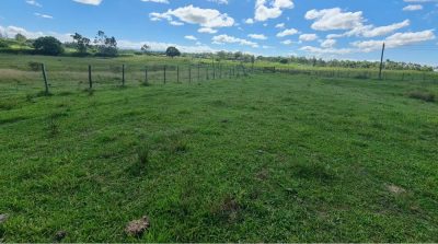 Fazenda, 252 hectares - Foto 4