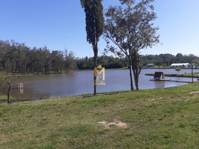 Fazenda, 44 hectares - Foto 5