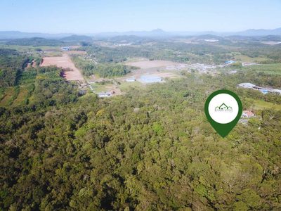 Terreno, 2 hectares - Foto 3