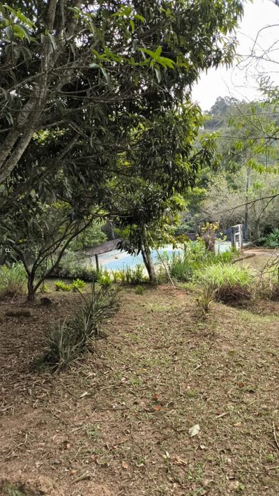 Fazenda, 3 hectares - Foto 3