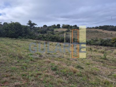 Terreno, 3 hectares - Foto 5