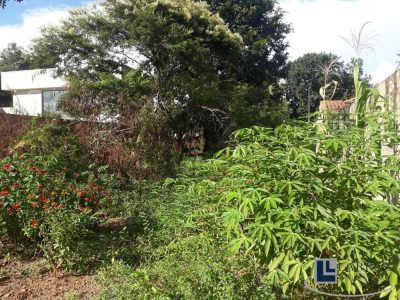 Terreno, 430 m² - Foto 5
