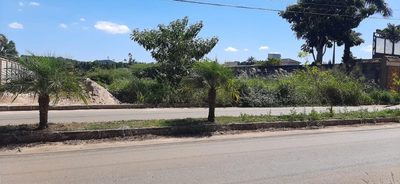 Terreno, 2000 m² - Foto 4