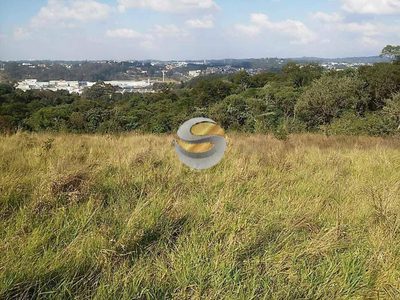 Terreno, 5000 m² - Foto 5