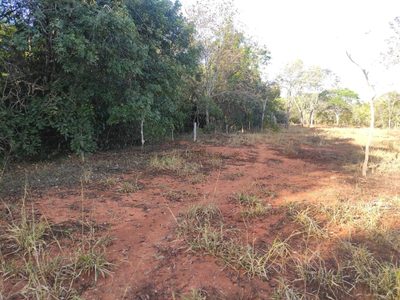Terreno, 110000 m² - Foto 2