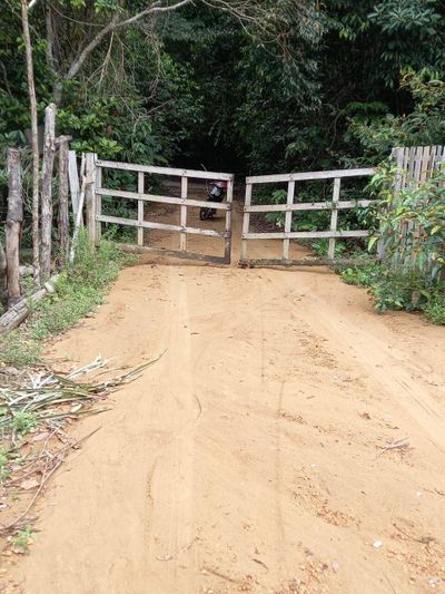 Terreno, 24 hectares - Foto 4