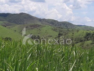 Fazenda, 250 m² - Foto 5