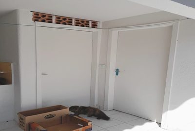 Sobrado, 3 quartos, 151 m² - Foto 4