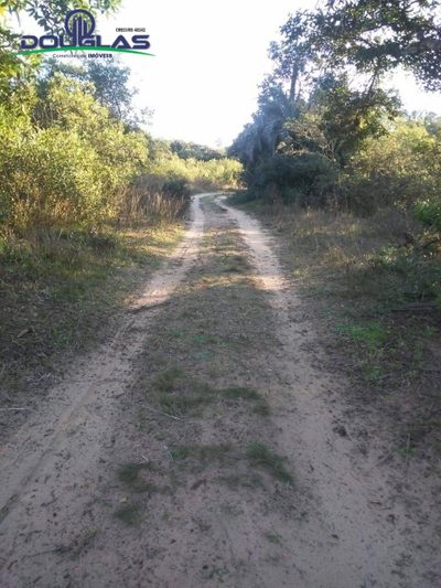 Sítio, 3 quartos, 7 hectares - Foto 3