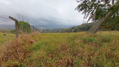 Terreno, 9200 m² - Foto 3