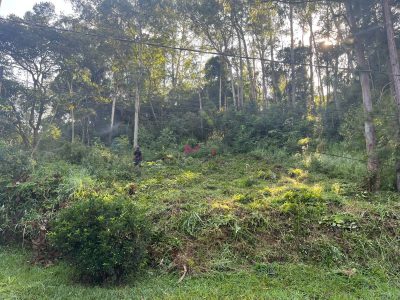 Terreno, 1494 m² - Foto 1