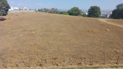 Terreno, 4 hectares - Foto 1