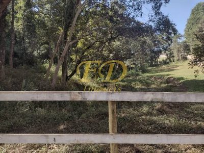 Terreno, 4 hectares - Foto 1