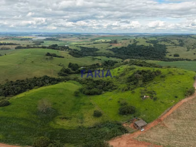 Sítio, 19 hectares - Foto 1