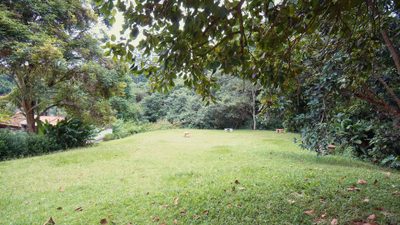 Terreno, 800 m² - Foto 3