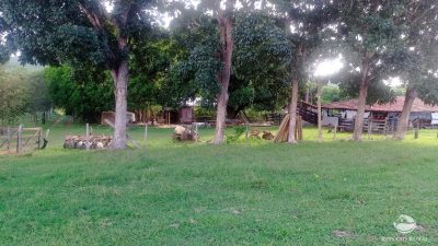 Fazenda, 252 hectares - Foto 1