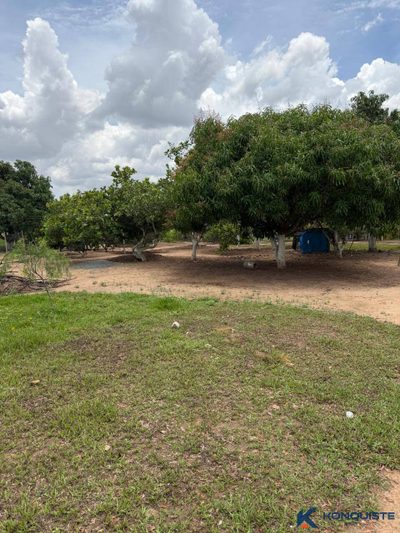 Sítio, 1 quarto, 6000 m² - Foto 4