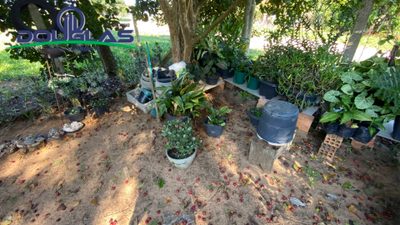 Terreno, 390 m² - Foto 3