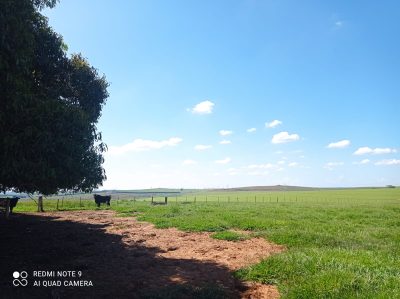 Fazenda, 10000 m² - Foto 2