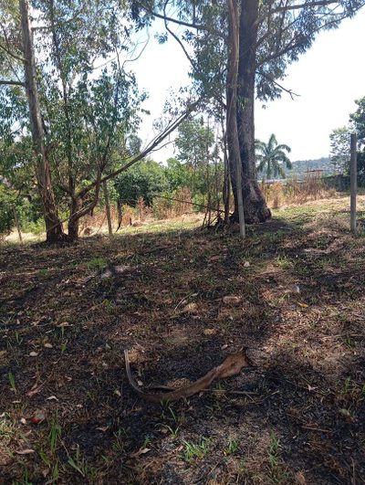 Terreno, 600 m² - Foto 5