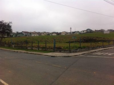 Terreno, 4 hectares - Foto 1