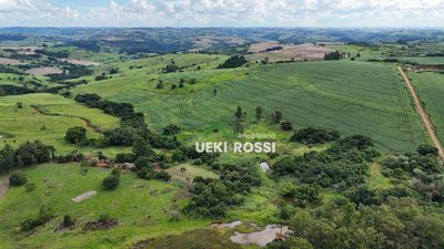 Fazenda, 126 hectares - Foto 3