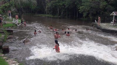 Chácara, 3 quartos, 6 hectares - Foto 4