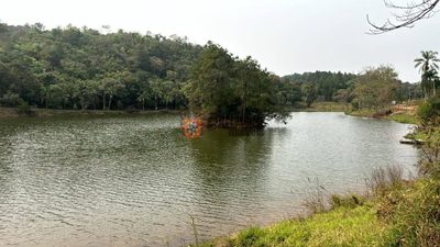Fazenda, 24 hectares - Foto 2